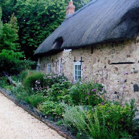 Afton Thatch: Beautiful Thatched Family Cottage Freshwater Exterior photo